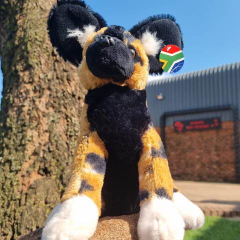 wildog-plush-toy
